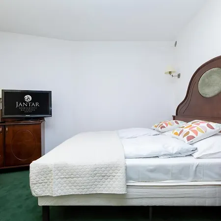Flowers - Avangardia Apartment